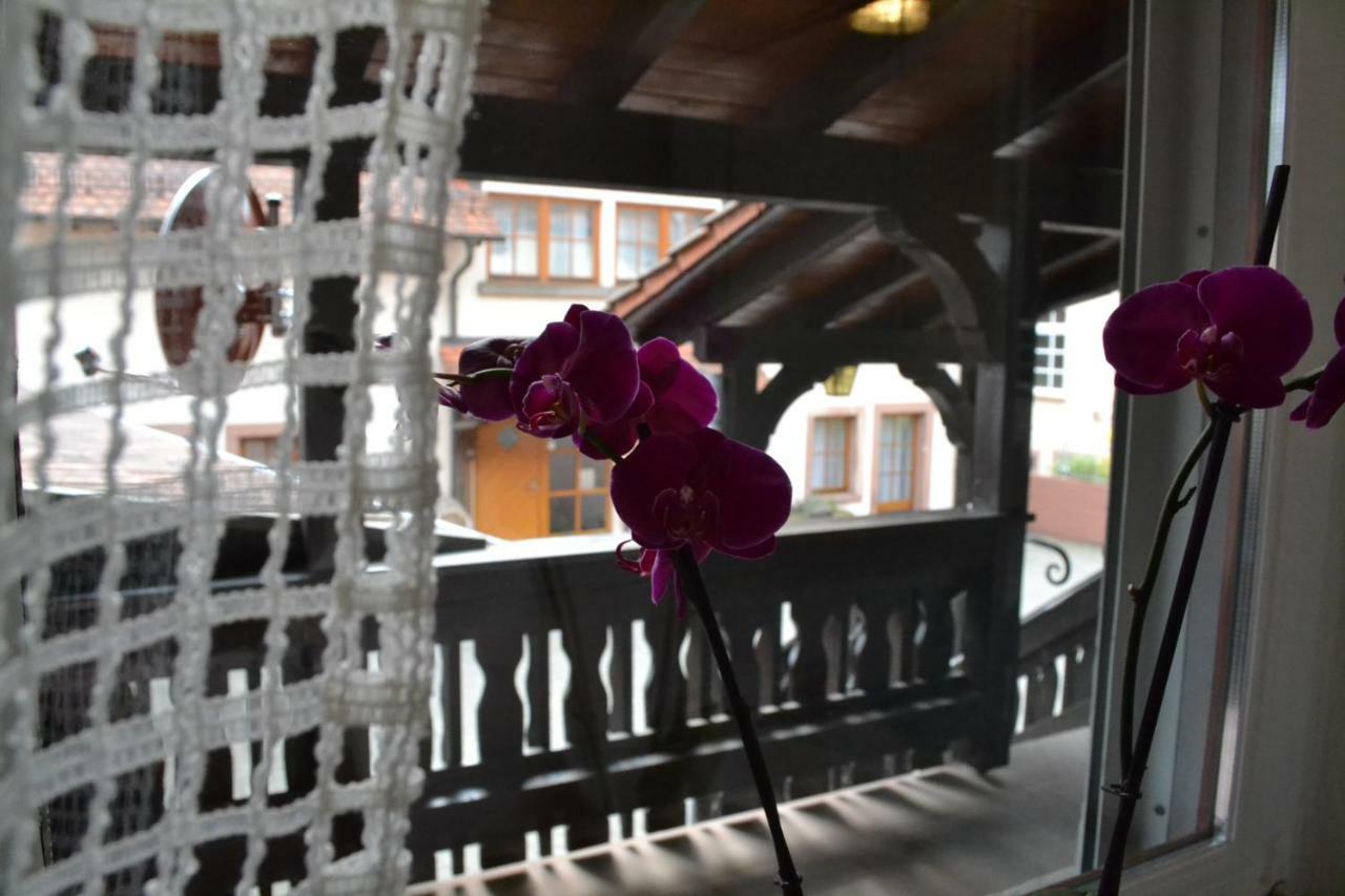 Pension - Gaestehaus Zum Pfaelzerwald Hinterweidenthal Luaran gambar